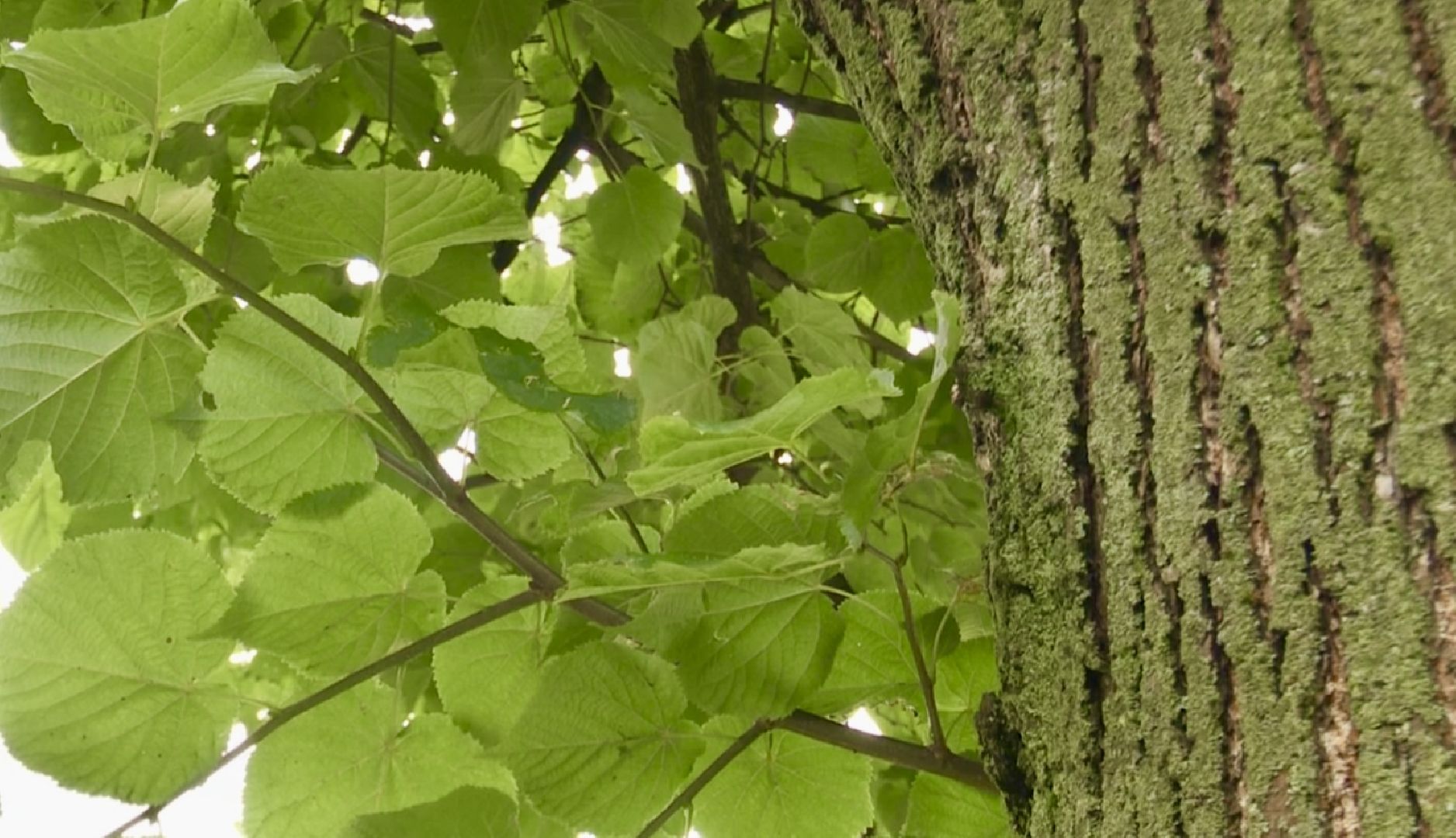 Клин, ЖКХ, общество, безопасность