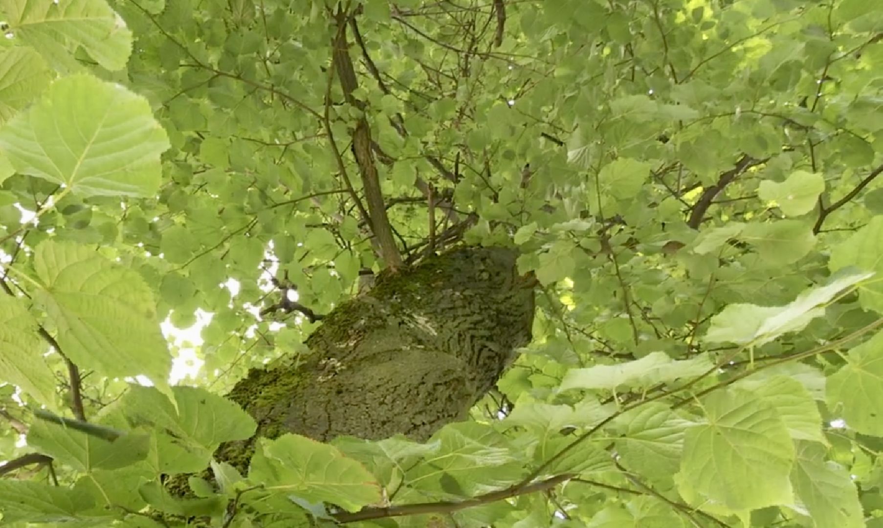 Клин, ЖКХ, общество, безопасность