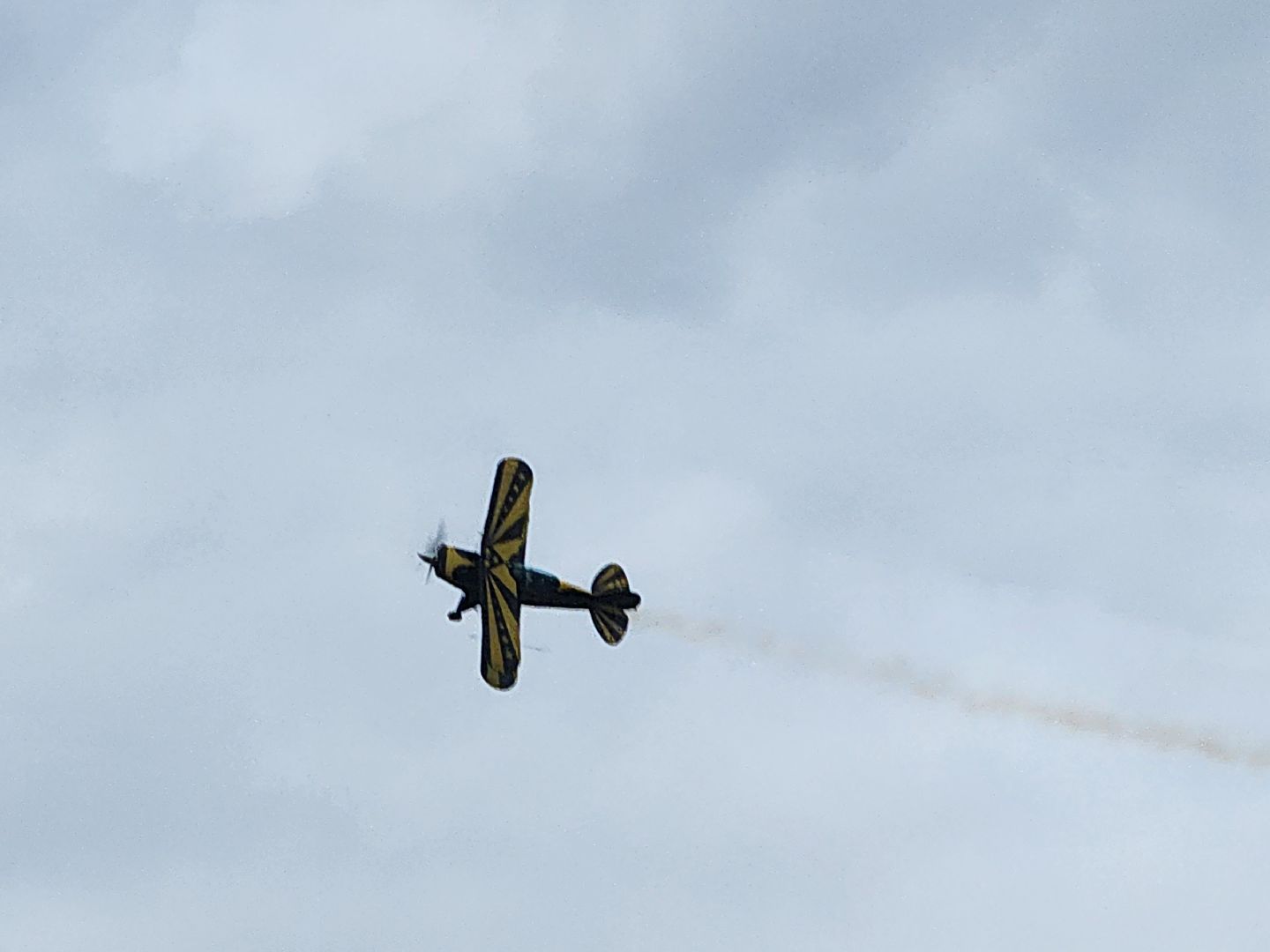 Серпухов, Подмосковье, пляж, Кремлёв, Бокс забег