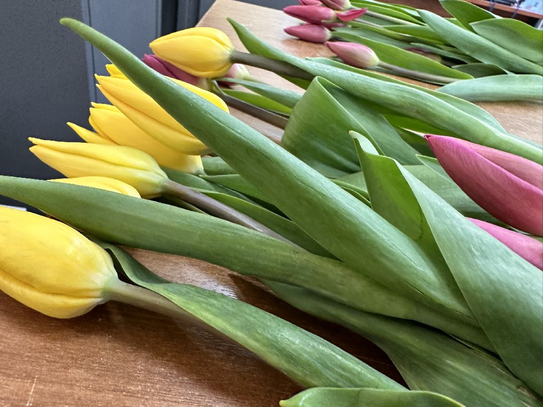 Одинцово, Госавтоинспекция, 8 марта, Автоледи, флешмоб