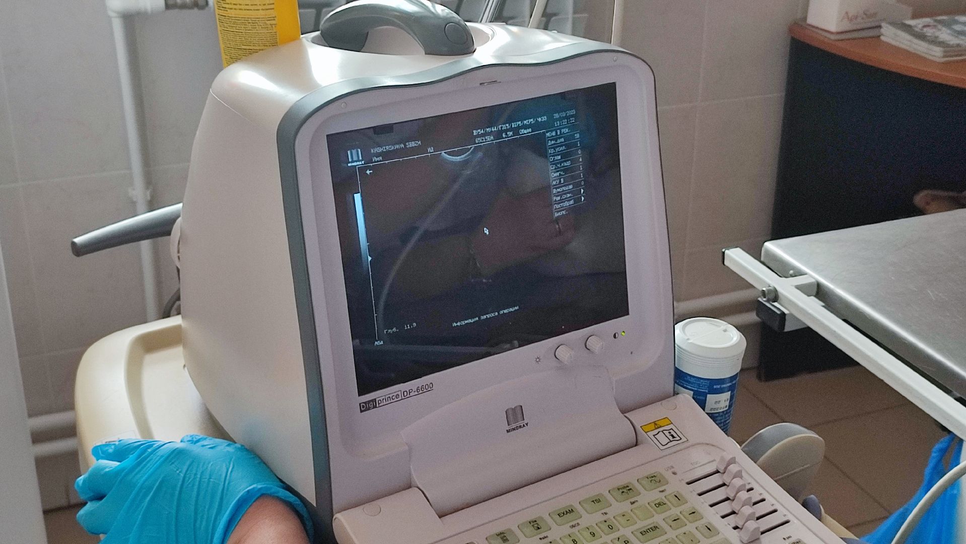 Кашира, ветеринарная станция, пожар, переезд