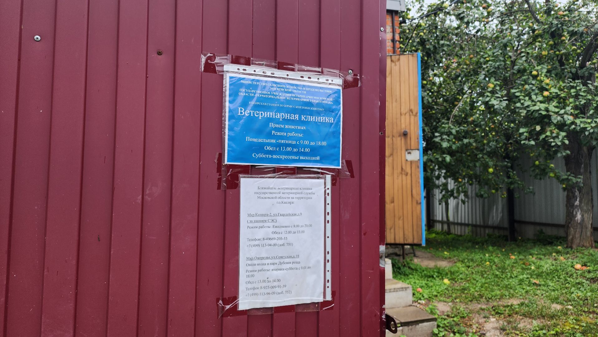 Кашира, ветеринарная станция, пожар, переезд