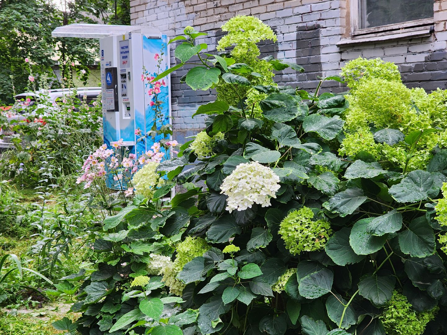 благоустройство, пушкино, доброе дело,