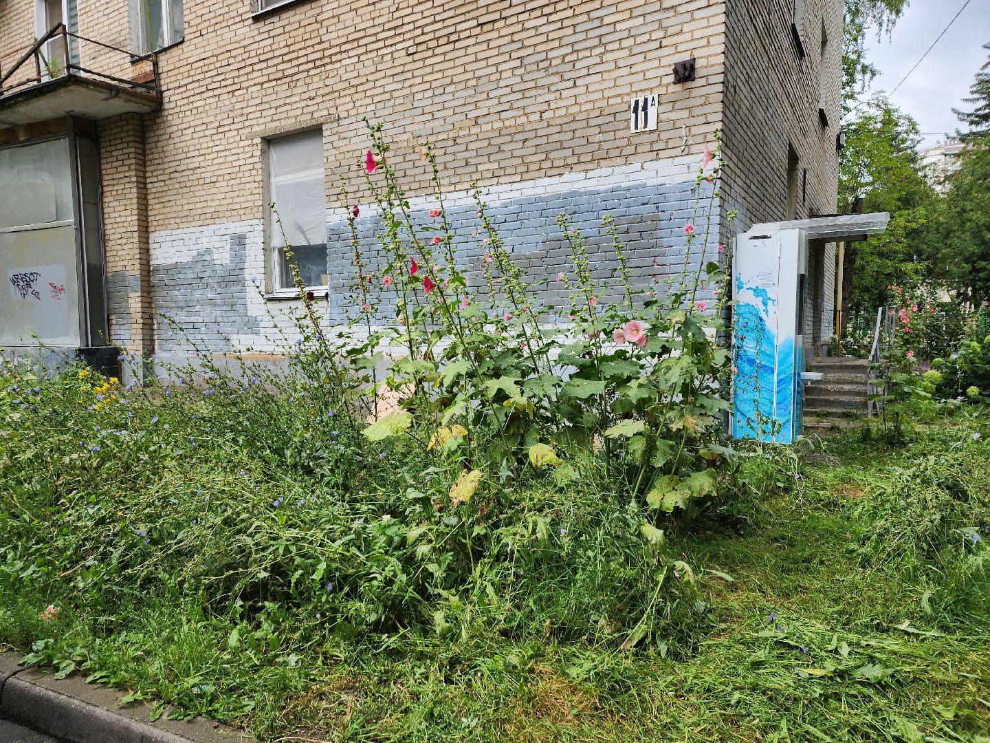 благоустройство, пушкино, доброе дело,