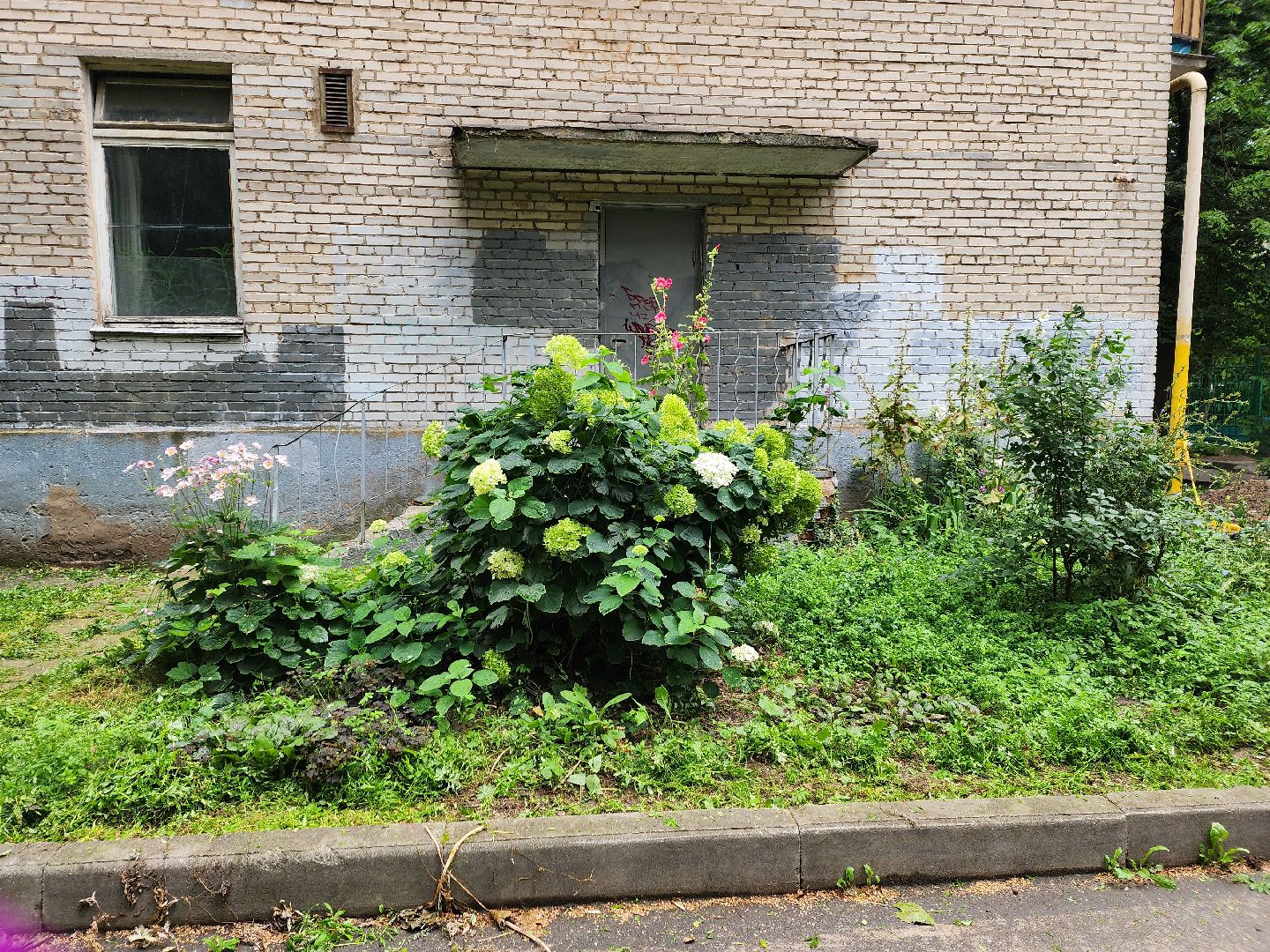 благоустройство, пушкино, доброе дело,