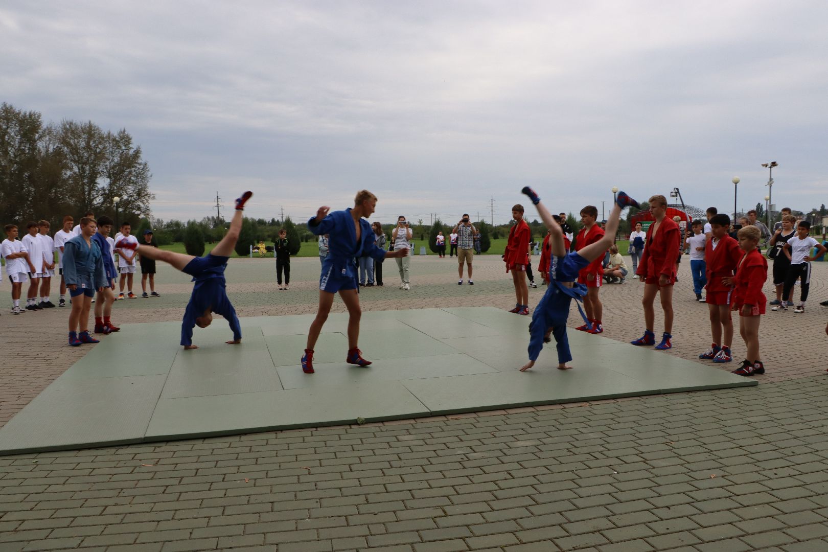 Серебряные Пруды, самбо в парке