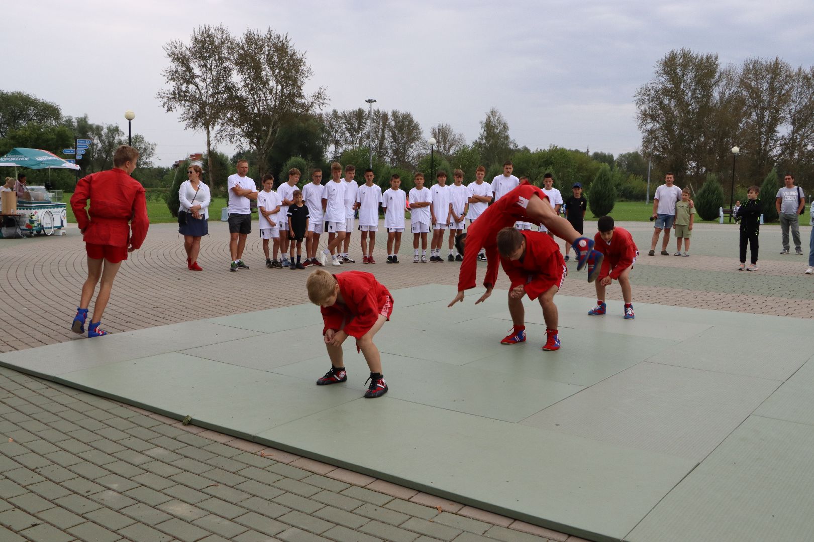 Серебряные Пруды, самбо в парке