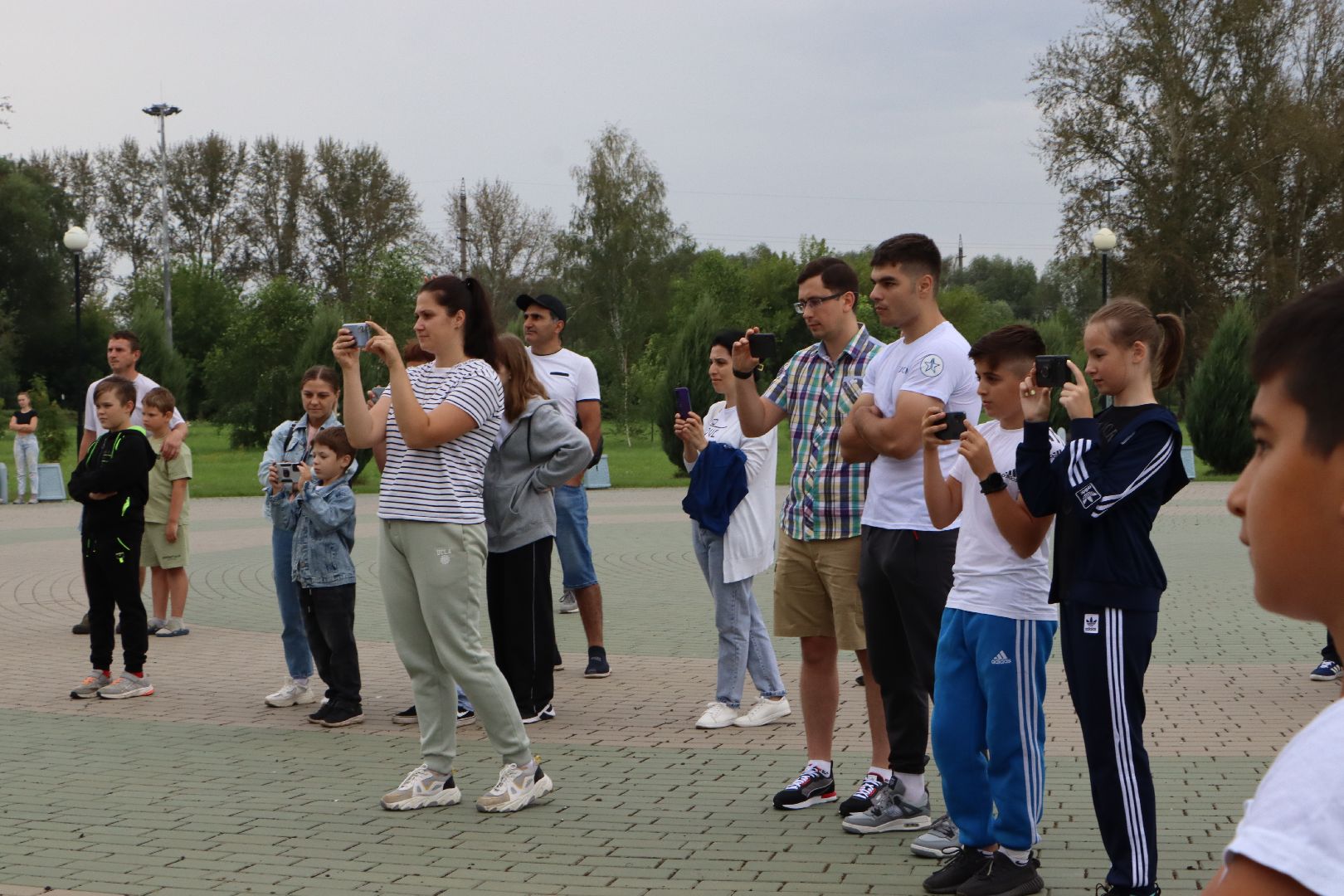 Серебряные Пруды, самбо в парке