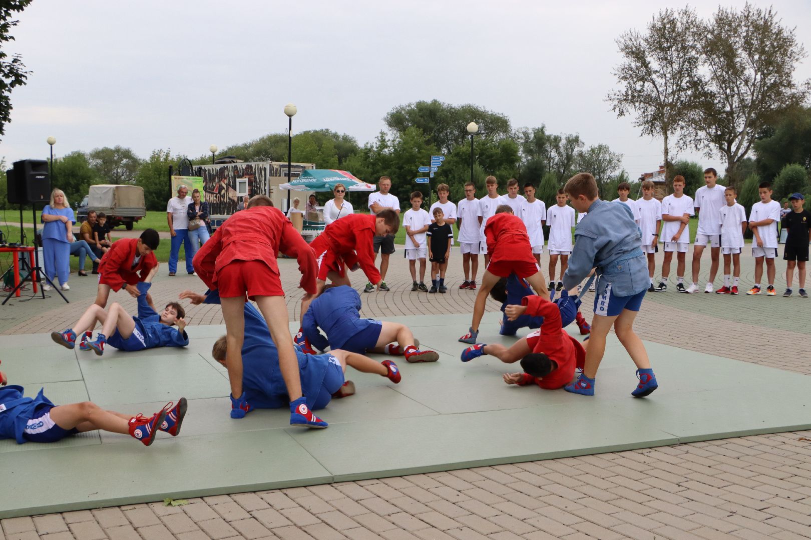 Серебряные Пруды, самбо в парке