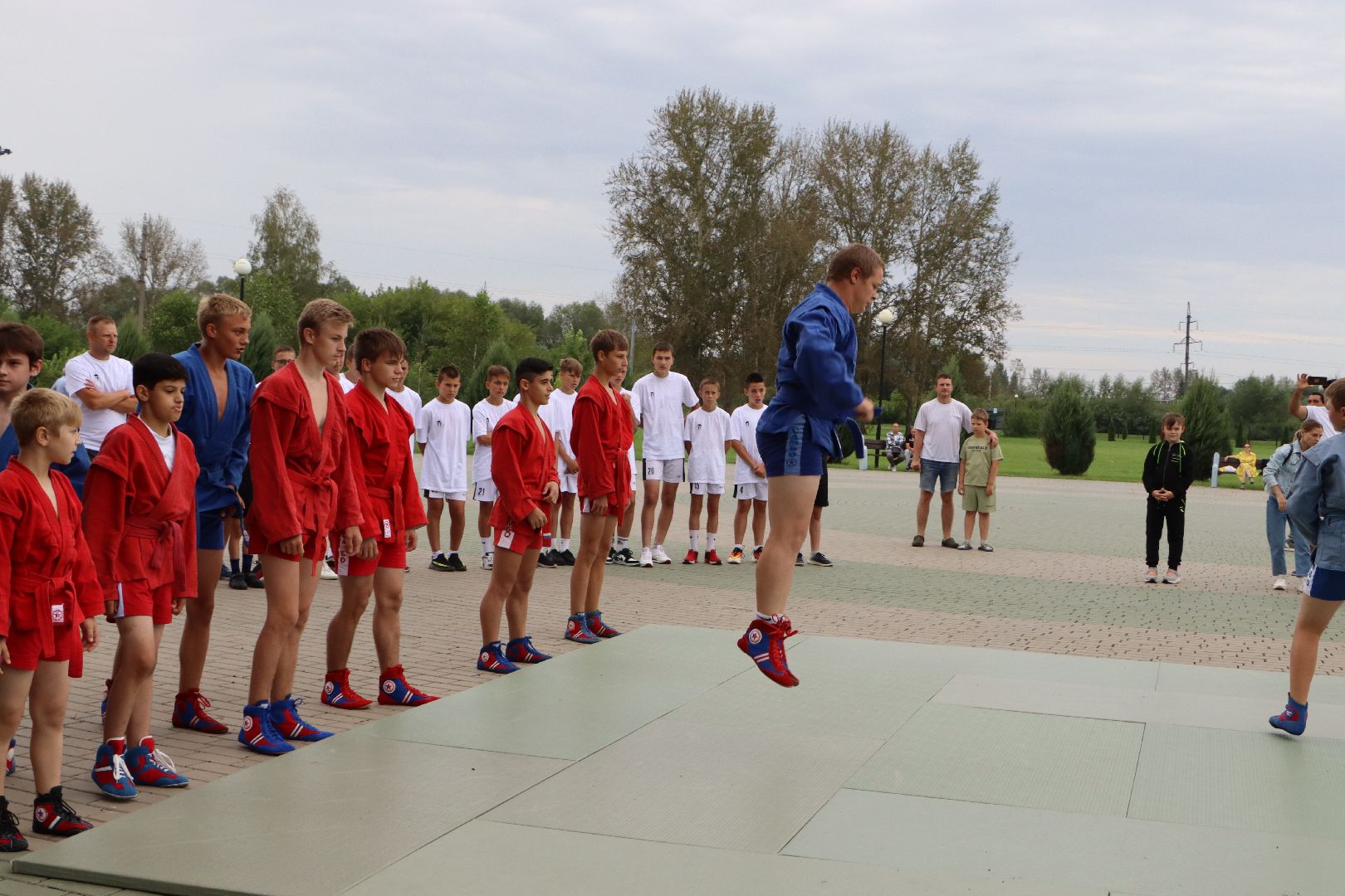 Серебряные Пруды, самбо в парке