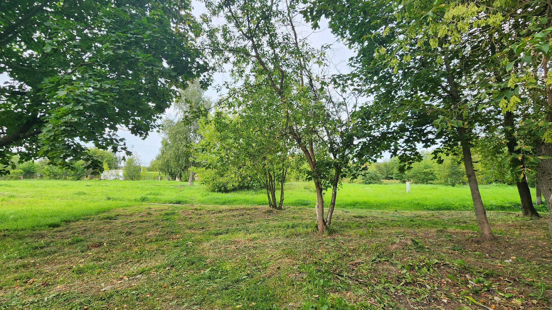 Пушкино, благоустройство, ЖКХ, люди, общество, Пушкинский округ