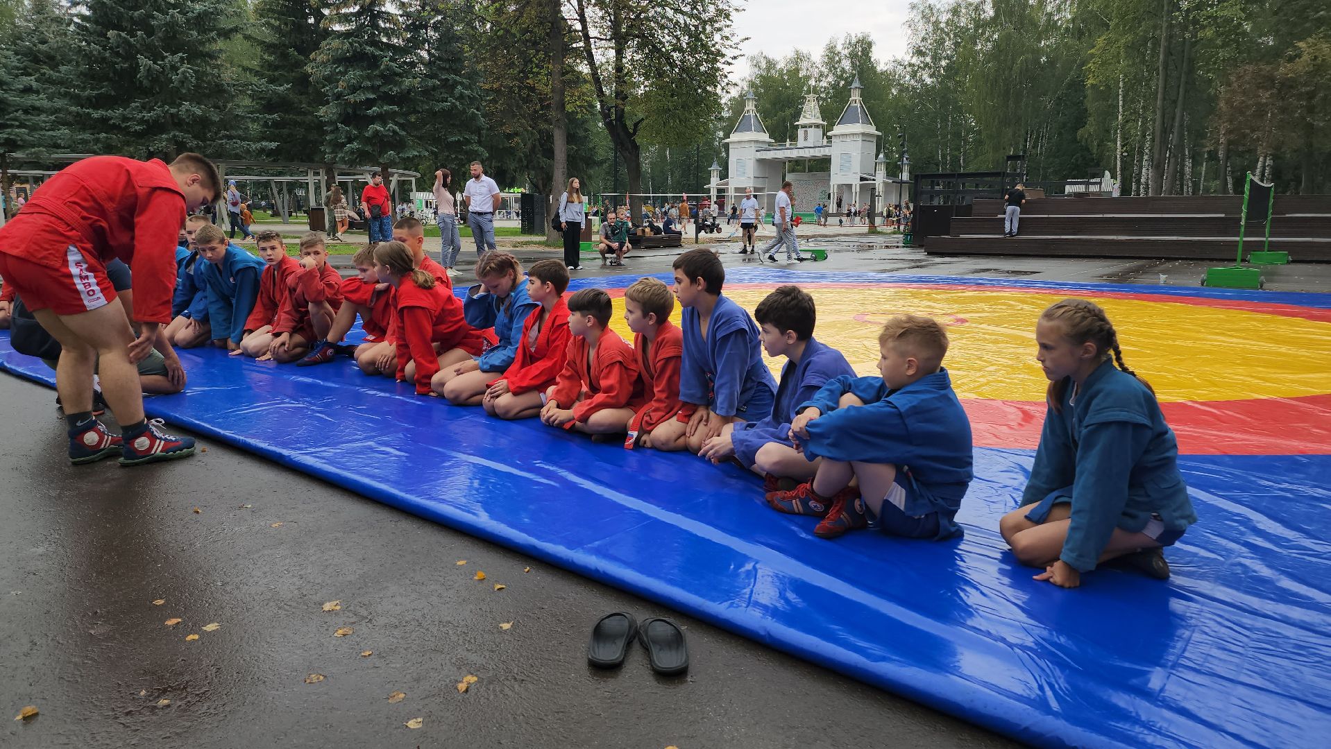 Пушкино, спорт, самбо, самбо 70, Zа самбо