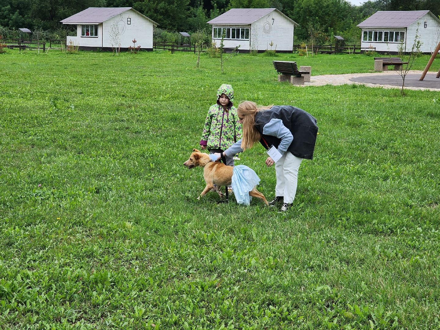 серпухов, принарский парк, день дворняжки, собаки, волонтеры, доброе дело,