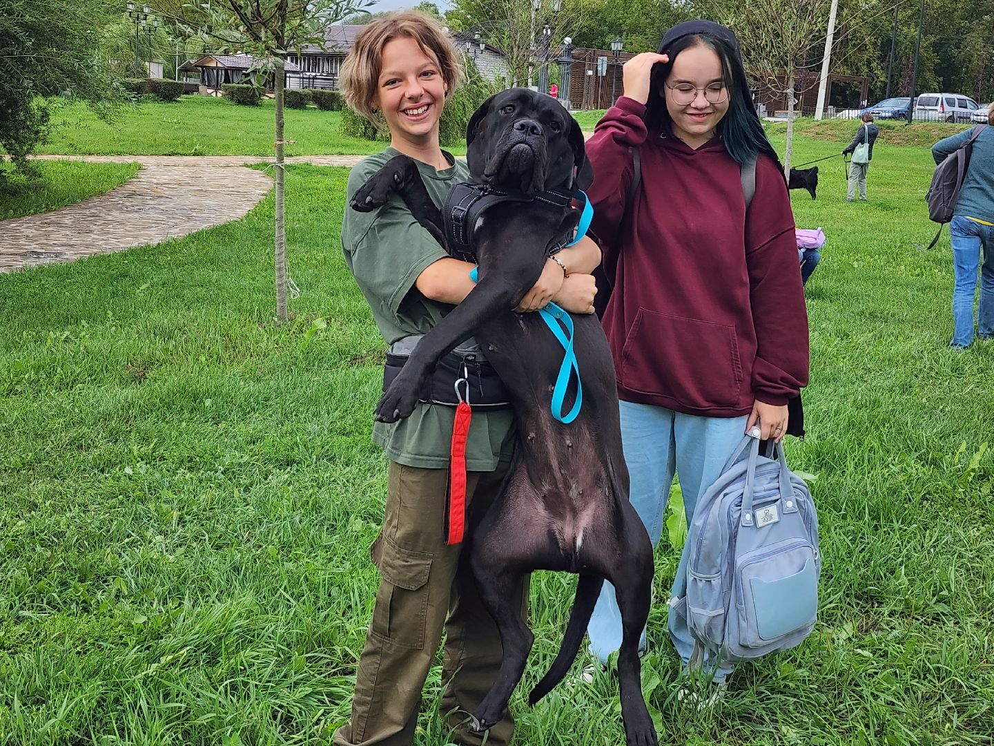 серпухов, принарский парк, день дворняжки, собаки, волонтеры, доброе дело,