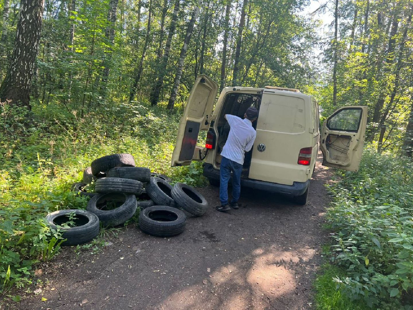 Вывоз покрышек, Мегабак, уборка в лесу, Котельники
