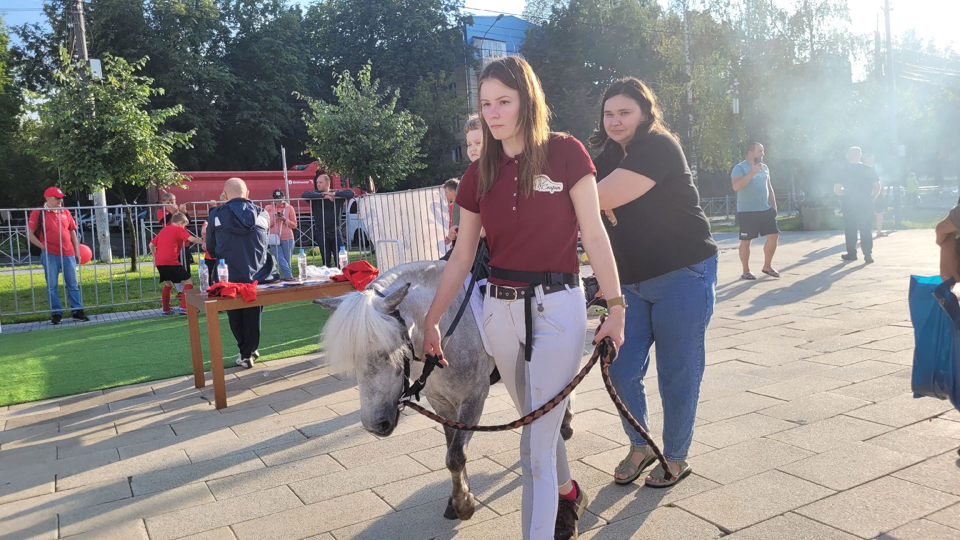 спорт; видное; праздник; тпп