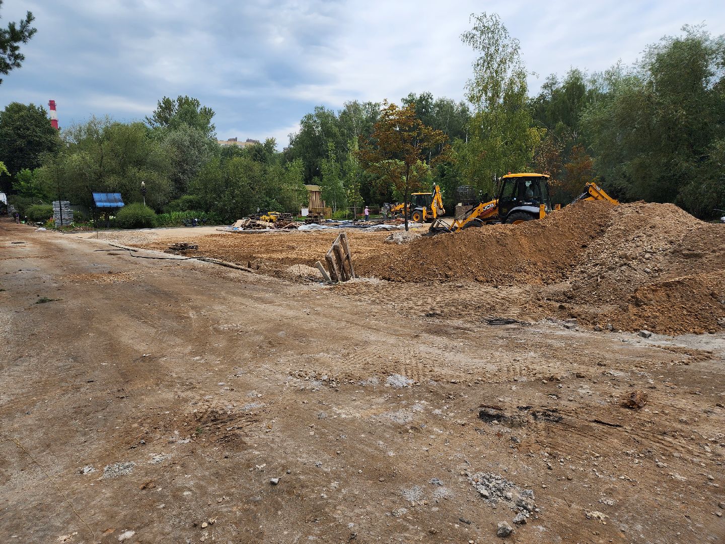 Лидер общественного мнения, Сергей Кораблев, Мытищи, благоустройство центрального парка