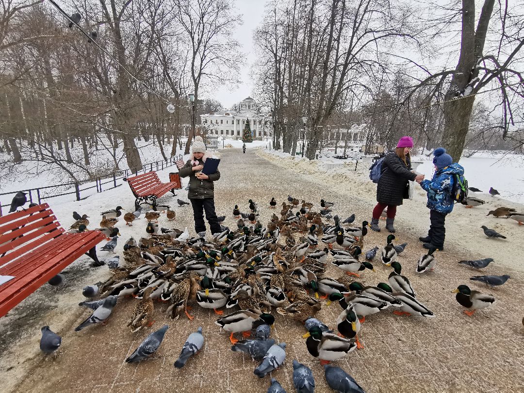 Плодольск Спецоперация