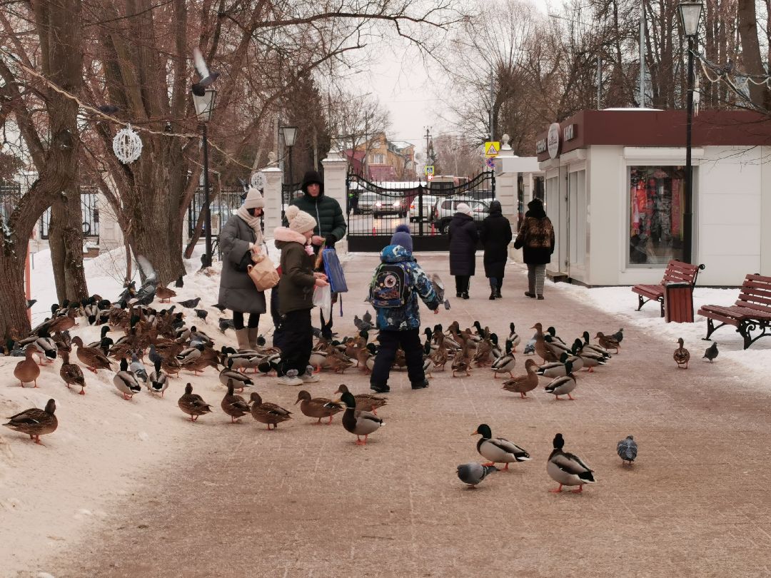 Плодольск Спецоперация