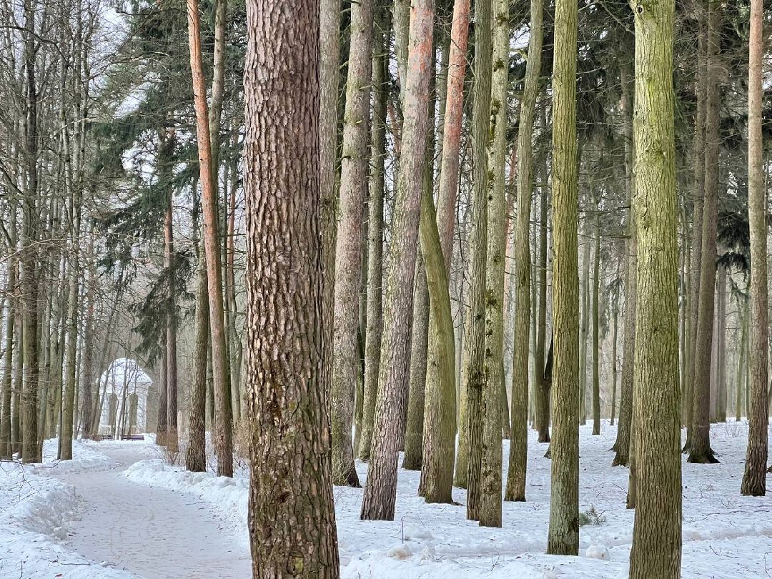 Плодольск Спецоперация