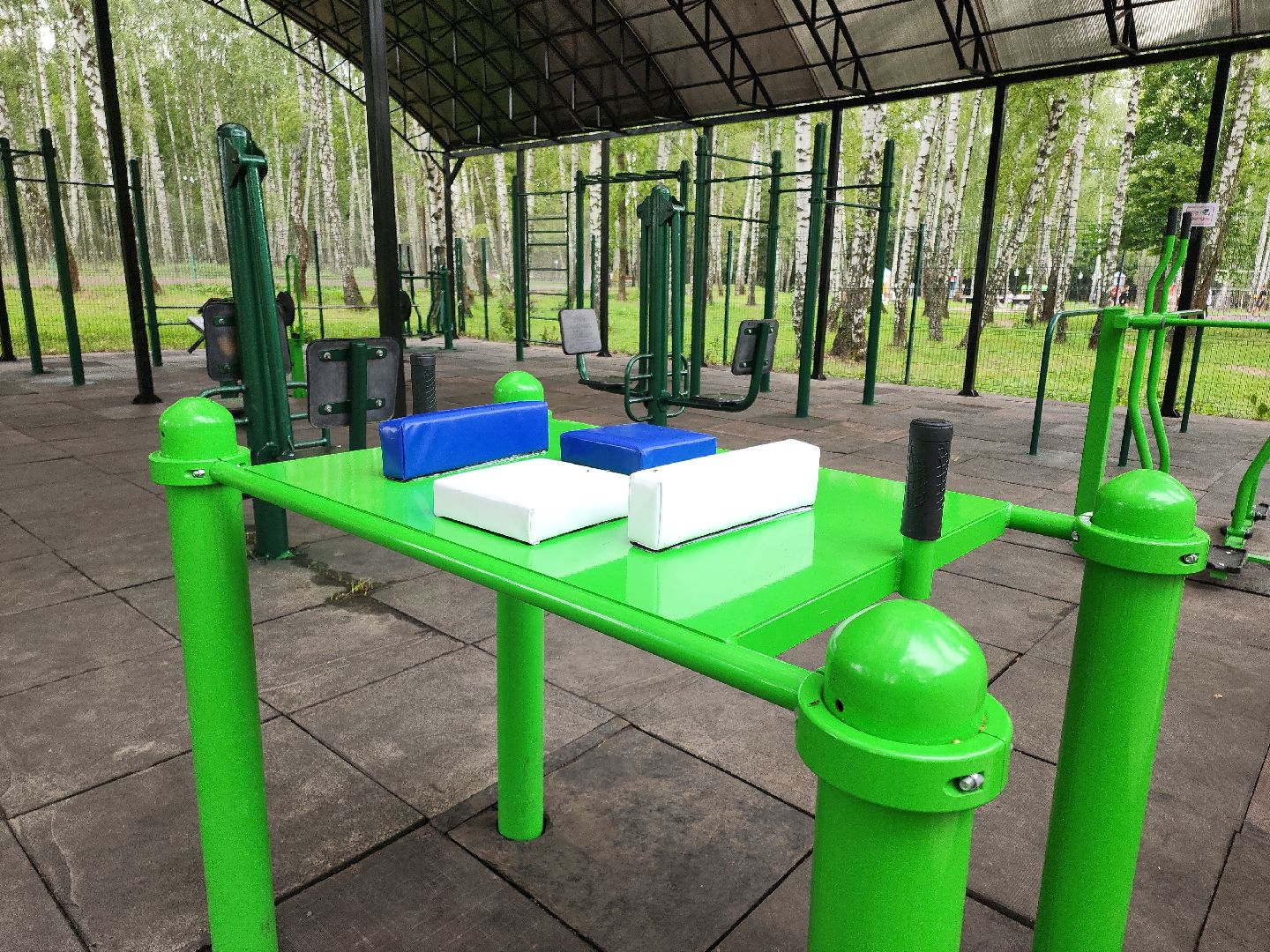 Кашира, парк, воркаут, крыша, тренажёры