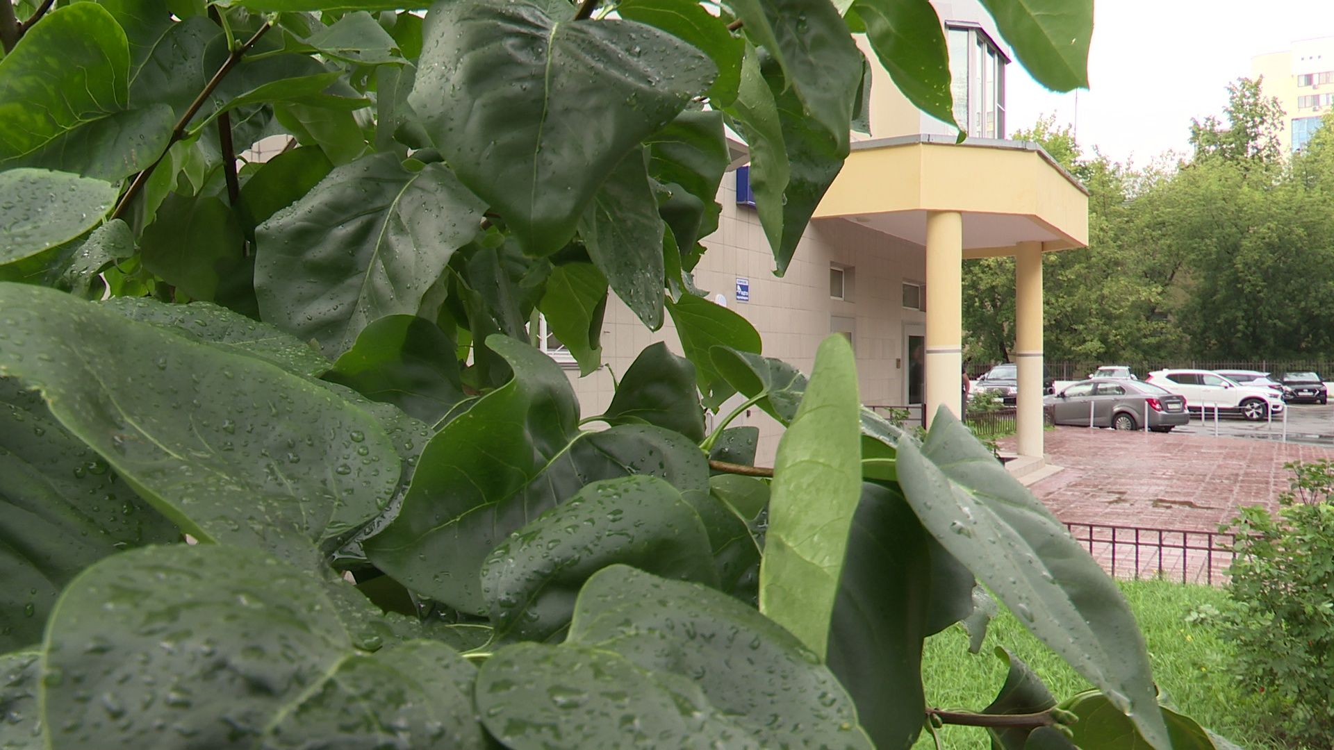 Реутов, ЖКХ, ремонт подъездов, губернаторская программа