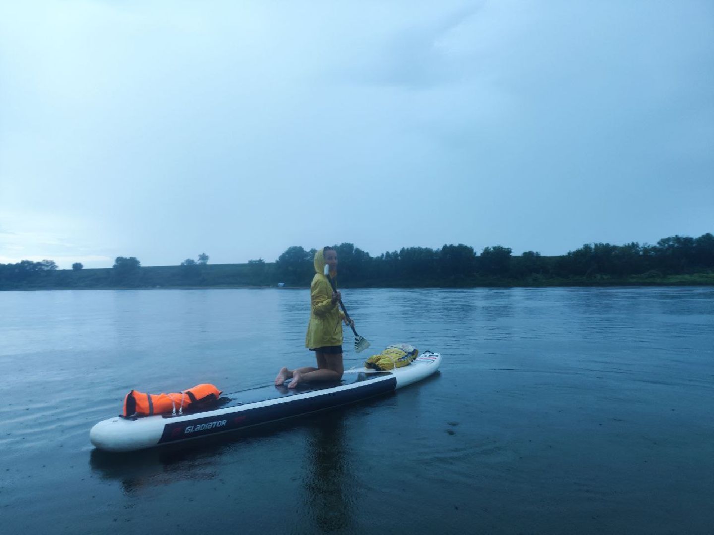 Пущино, экология, фламинго