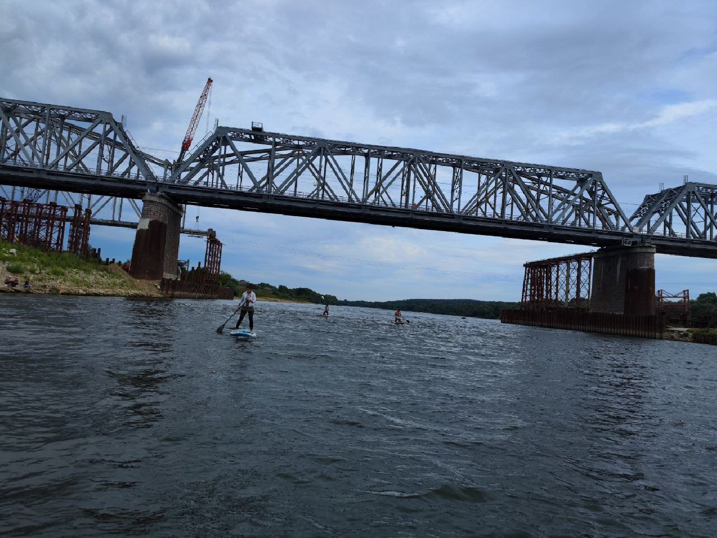 Пущино, экология, фламинго