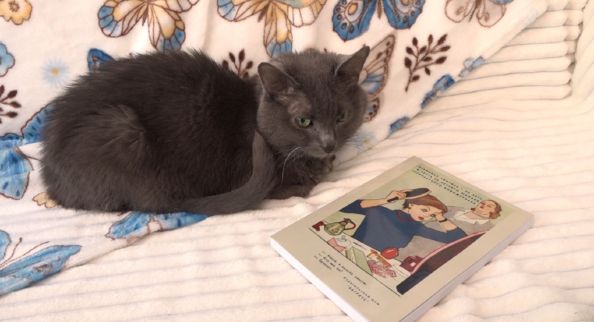 Экософия, сказки, Домодедово