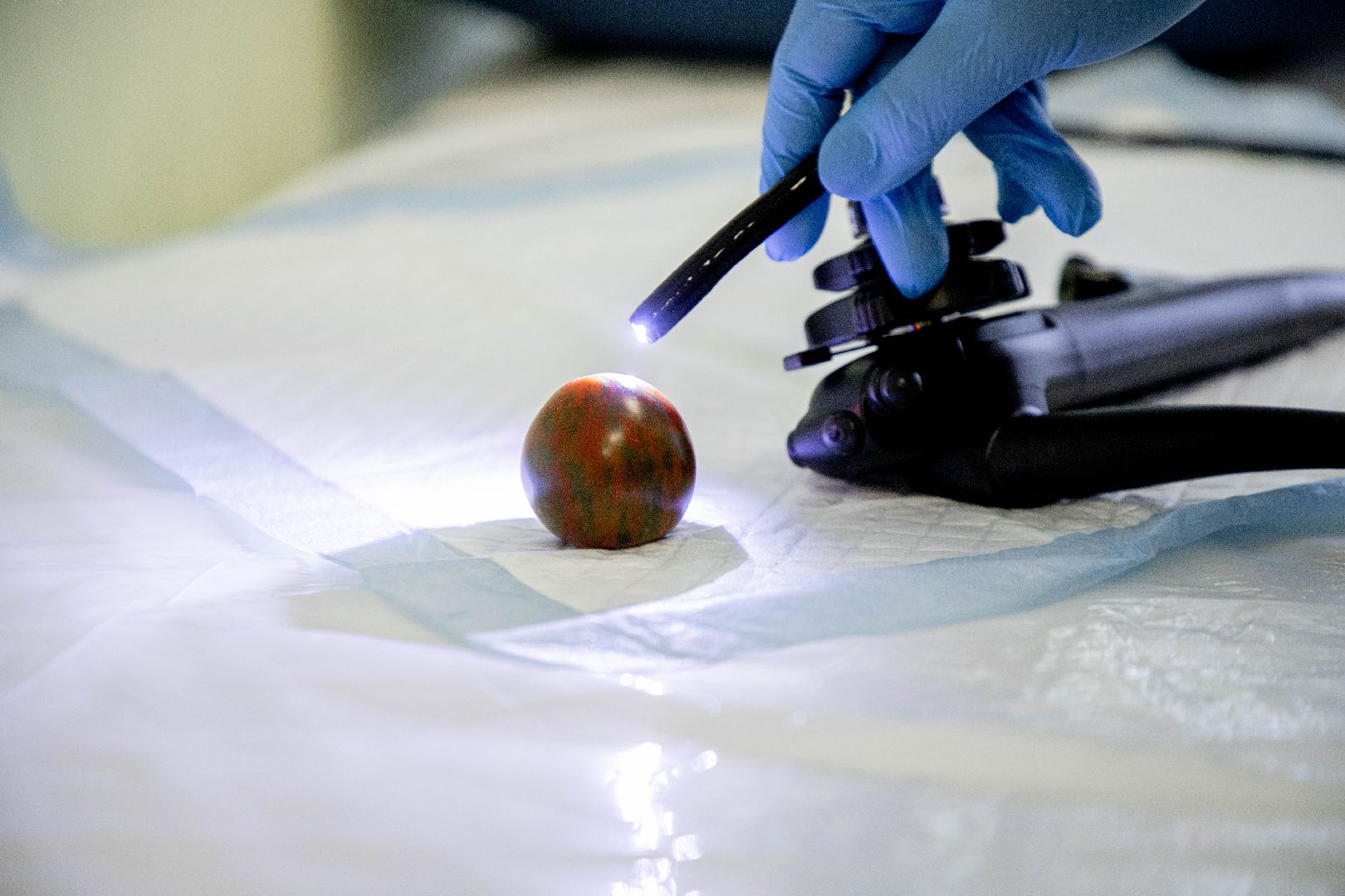 эндоскопическое оборудование, Домодедовская больница