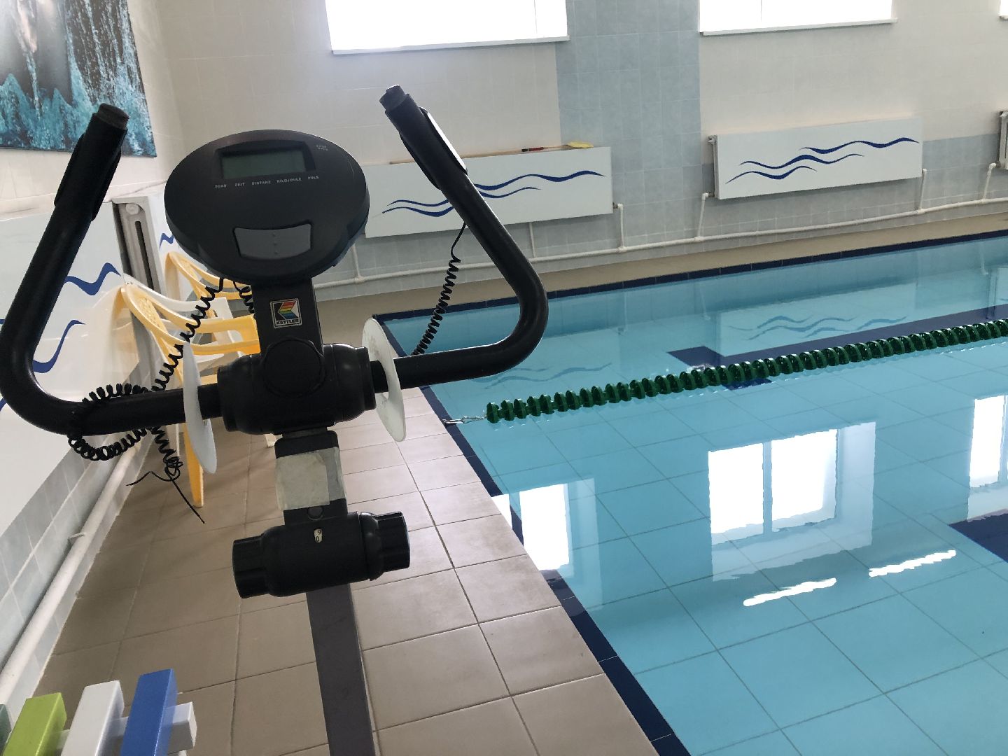 коломна, спорт, плавание