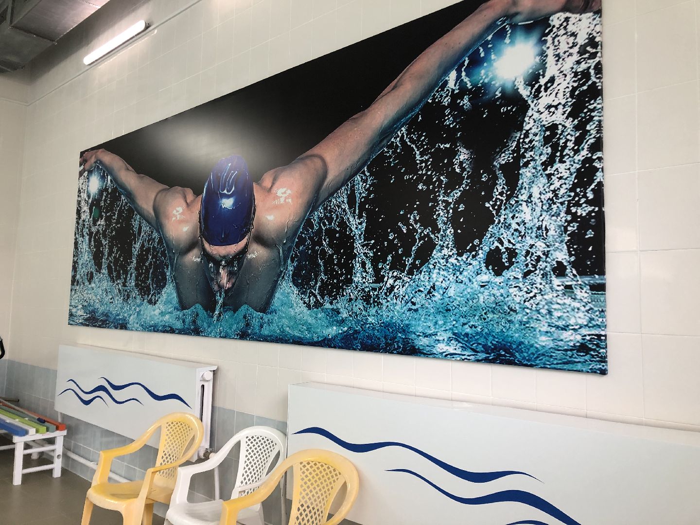 коломна, спорт, плавание