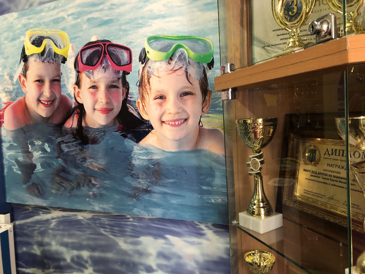 коломна, спорт, плавание