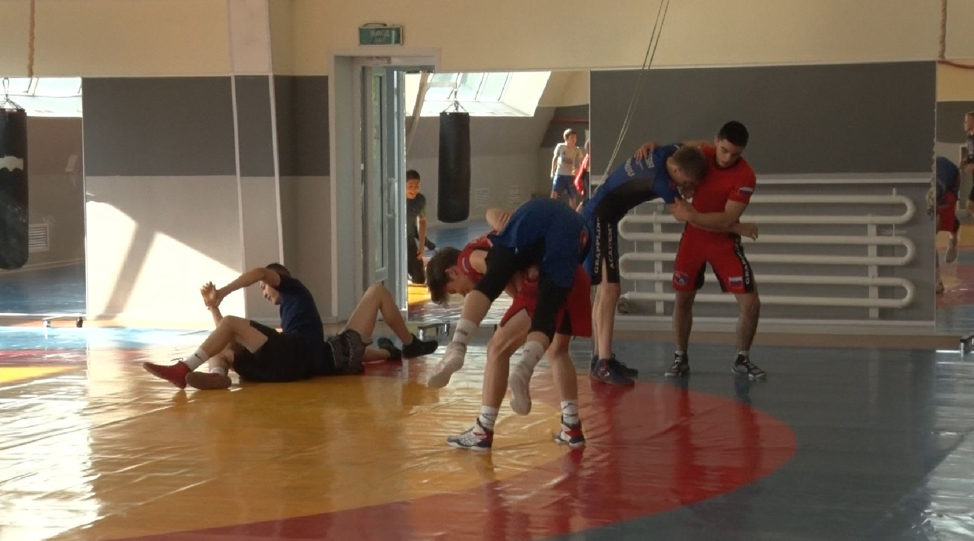 Первенство России по боксу, Домодедово