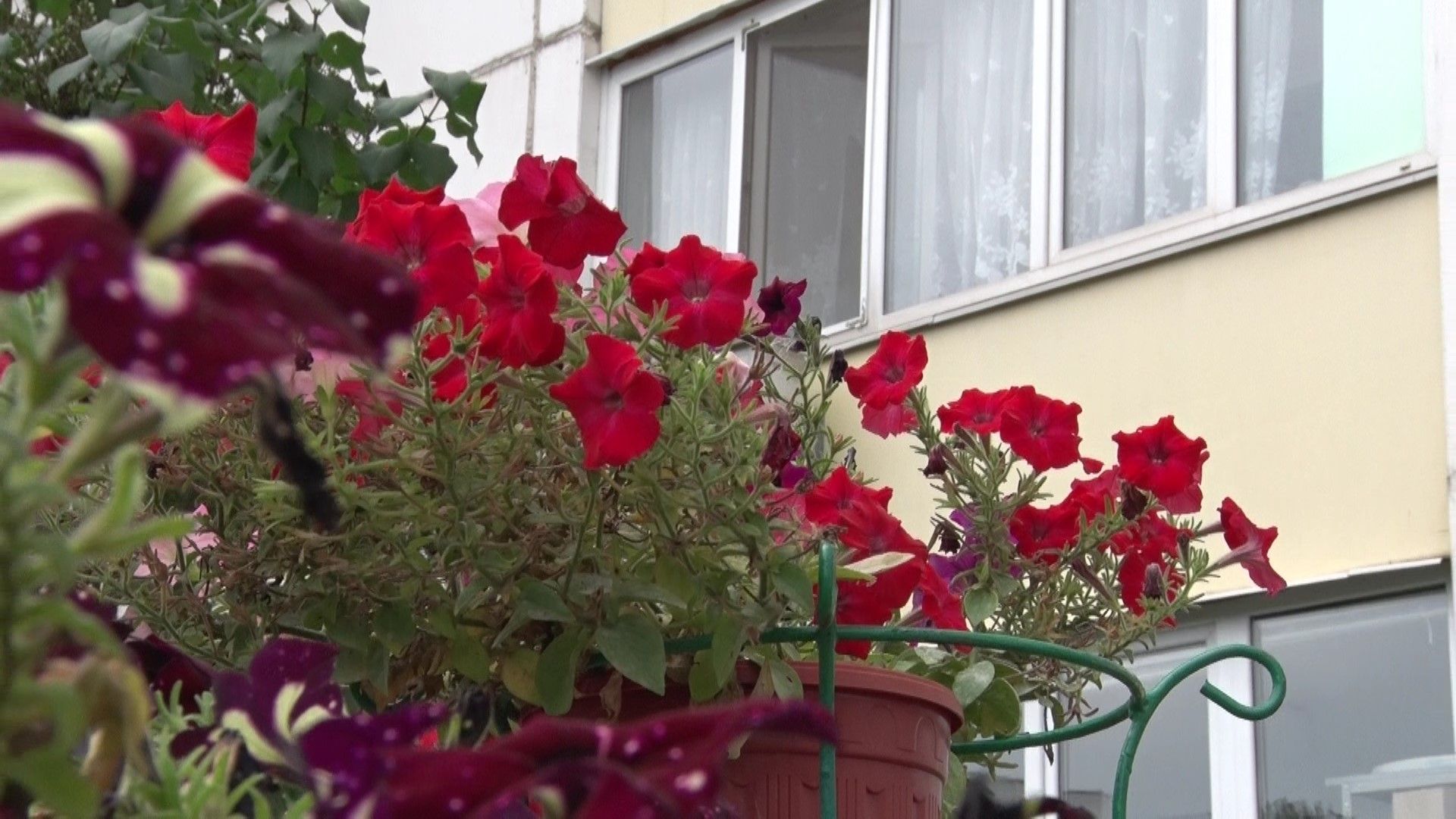 Конкурс на лучший двор, Домодедово