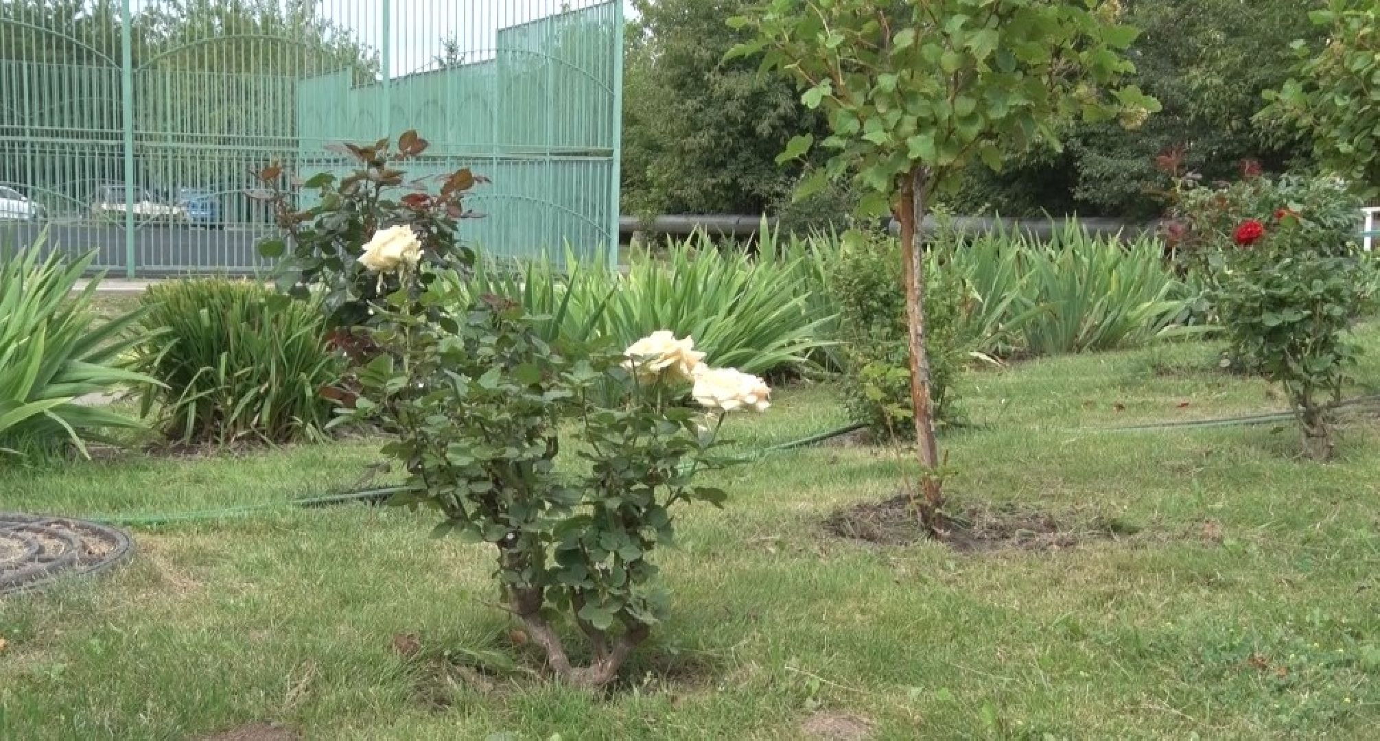 Конкурс на лучший двор, Домодедово