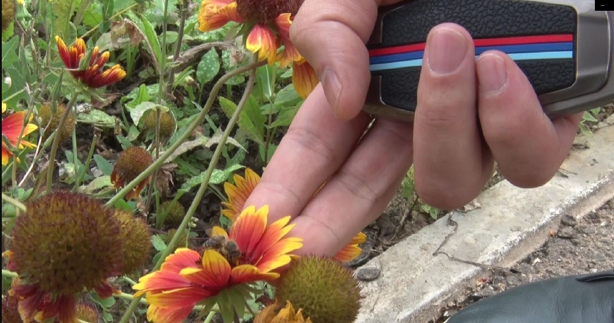 Конкурс на лучший двор, Домодедово