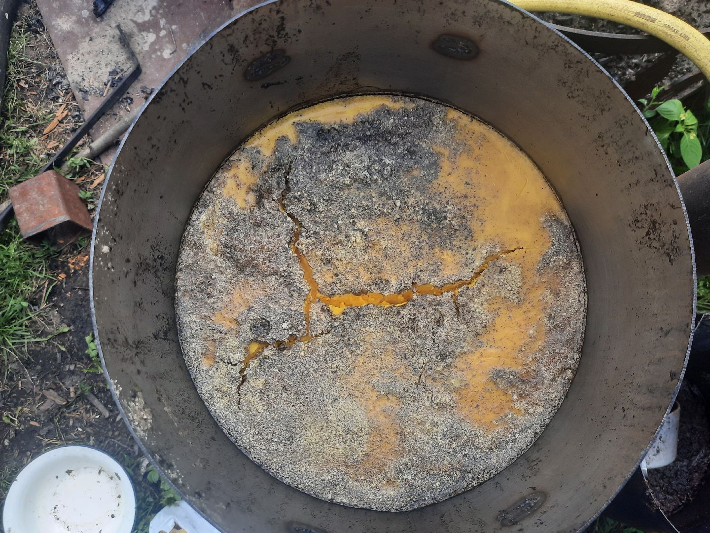 Шатура, Медовый спас, мёд, Рабочая пчела