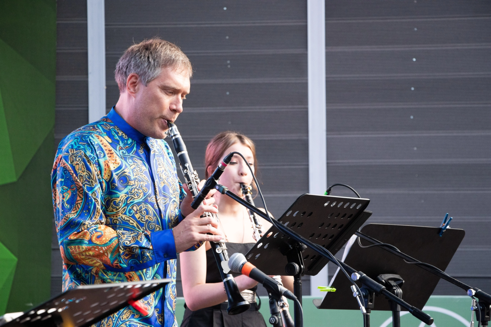 Домодедово, концерт, джазовая певица, год наставника, культура, парк Елочки, джаз,