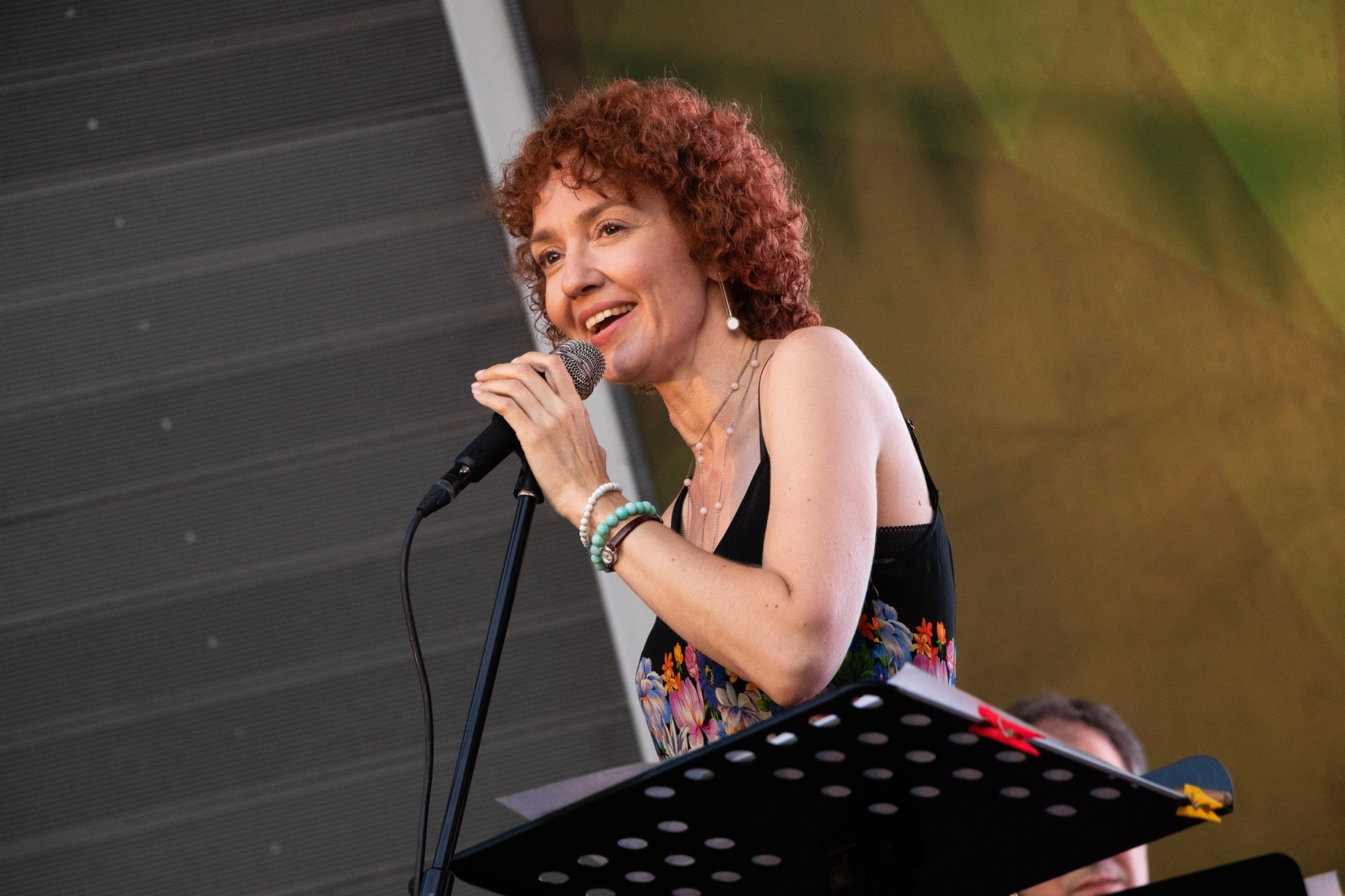 Домодедово, концерт, джазовая певица, год наставника, культура, парк Елочки, джаз,