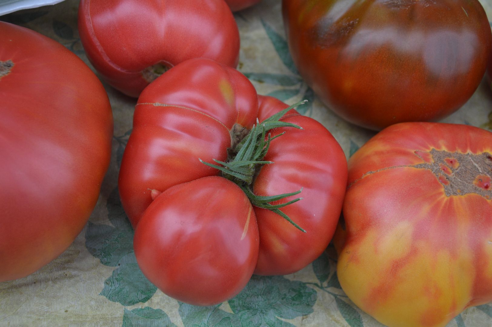 Шатура, деревня Дуреевская, Медовый спас, Престольный праздник