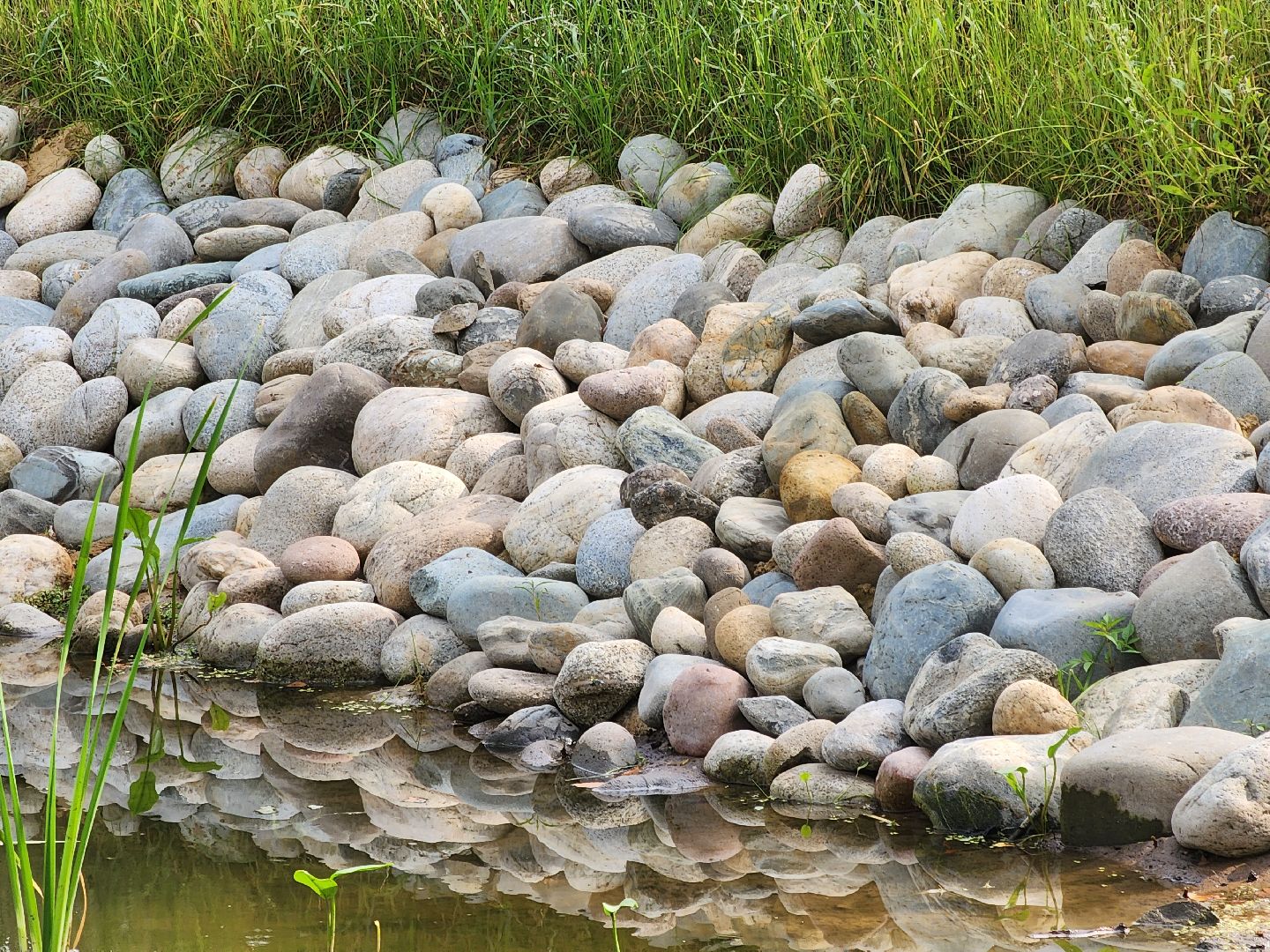 Павловский Посад, городской округ Павловский Посад, парк, благоустройство, Дубрава, сквер