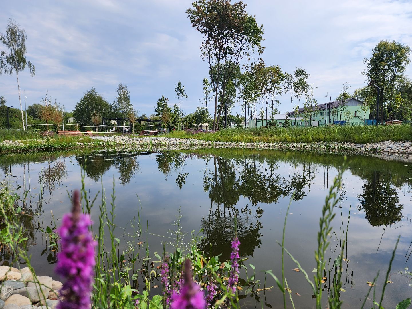 Павловский Посад, городской округ Павловский Посад, парк, благоустройство, Дубрава, сквер