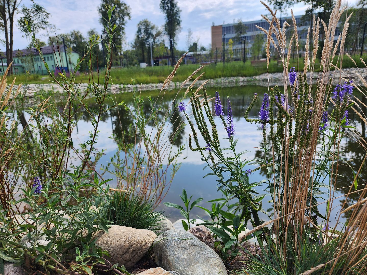 Павловский Посад, городской округ Павловский Посад, парк, благоустройство, Дубрава, сквер