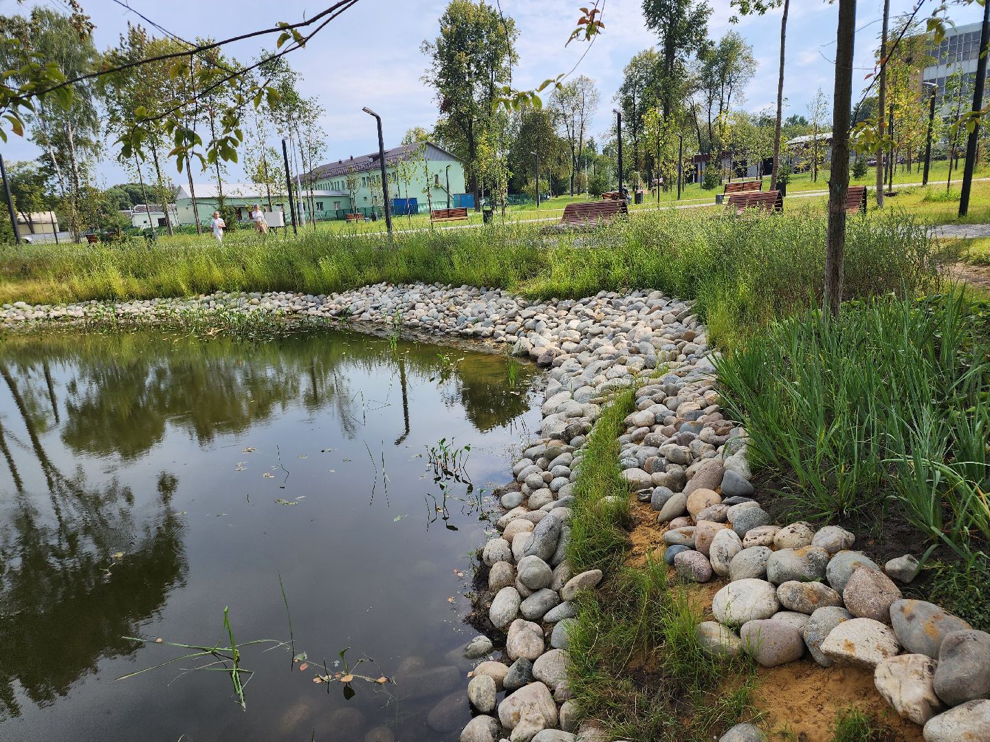 Павловский Посад, городской округ Павловский Посад, парк, благоустройство, Дубрава, сквер