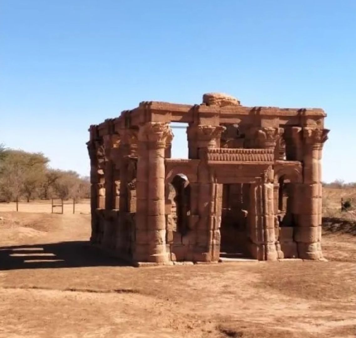 пушкино, африка, ученые,