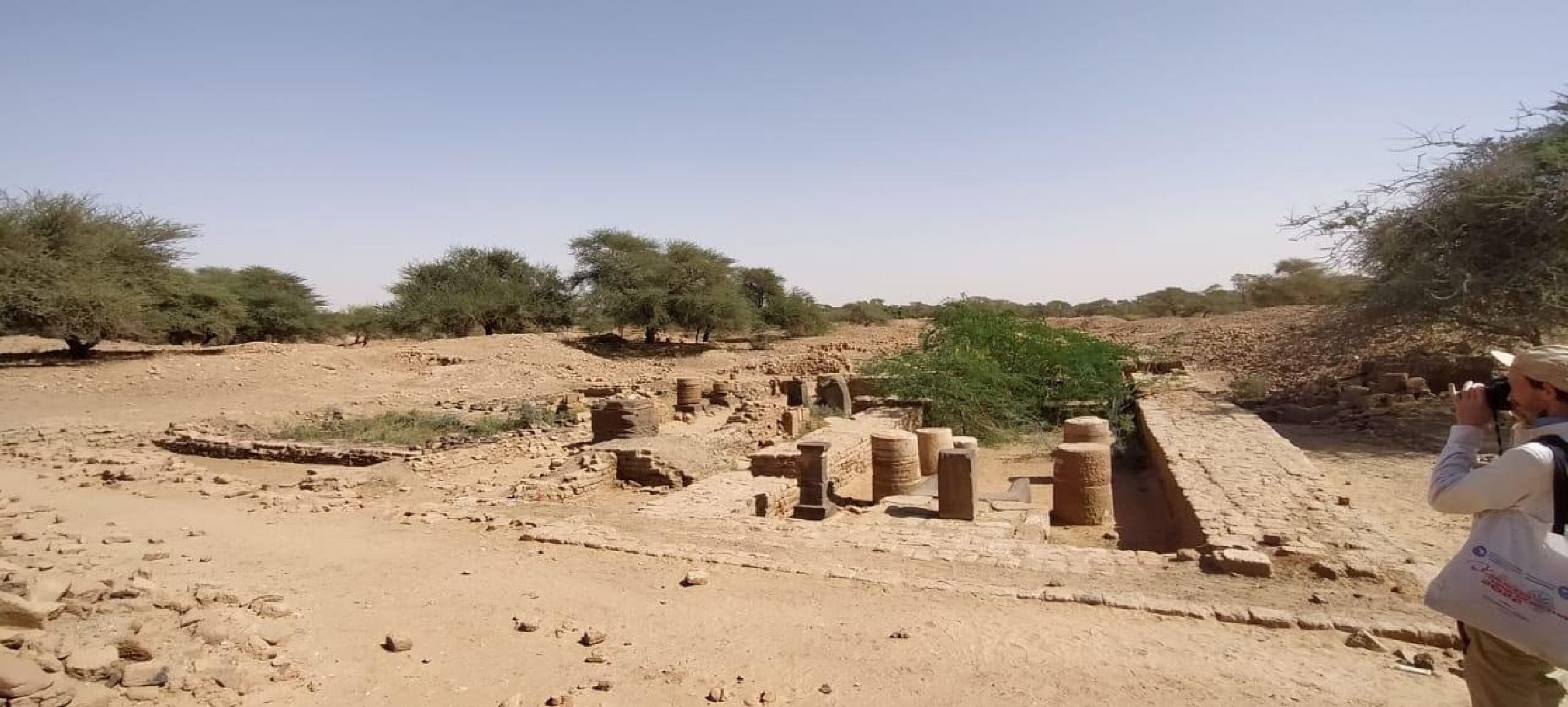 пушкино, африка, ученые,