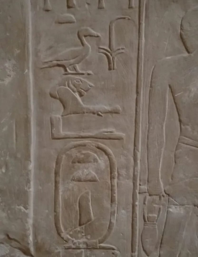 пушкино, африка, ученые,