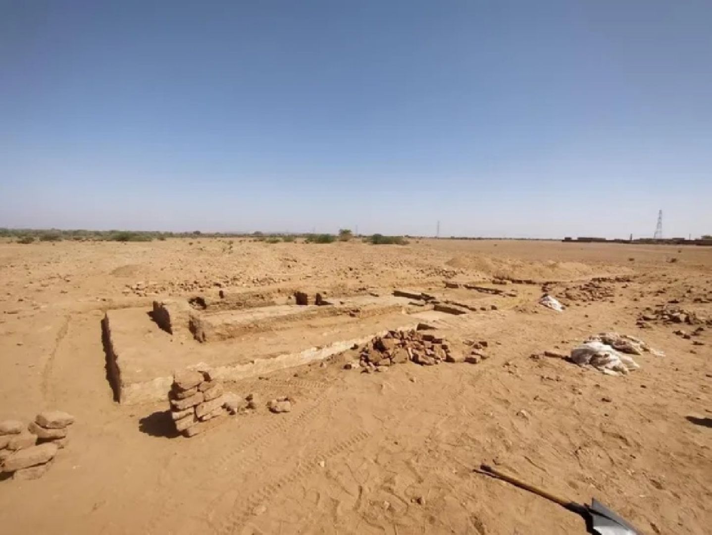 пушкино, африка, ученые,