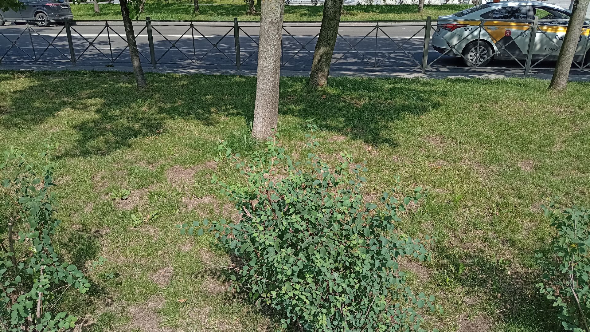 Реутов, транспорт, электрички, метро, МЦД-4, благоустройство, маршрут